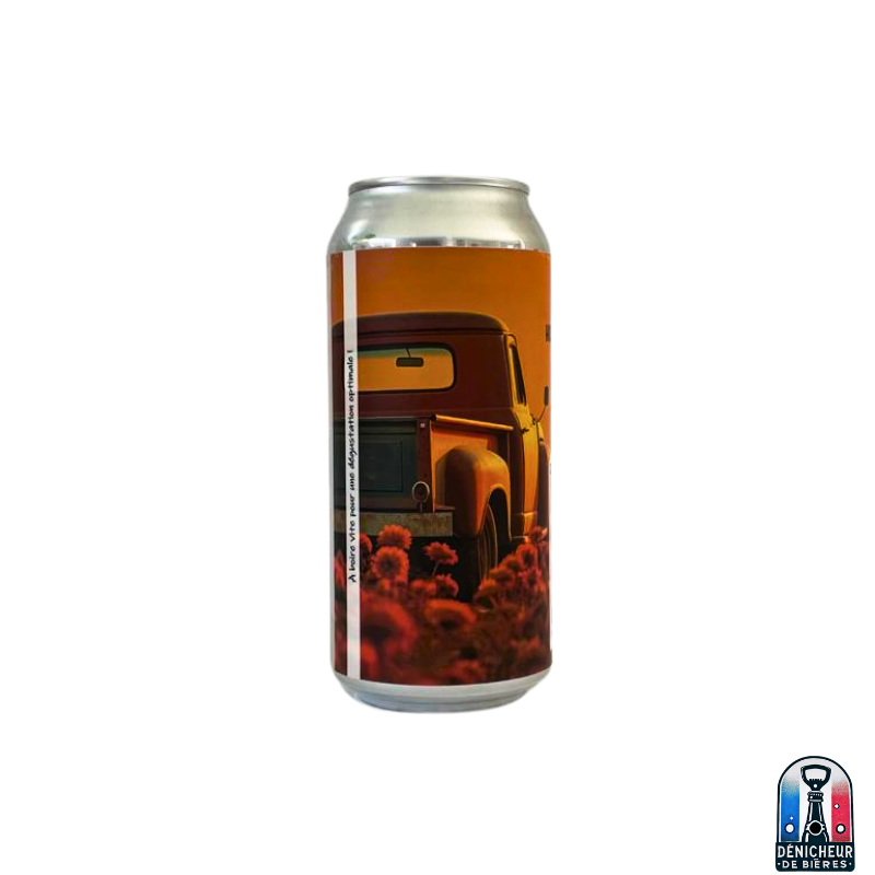 HORIZON INCONNU - DDH West Coast IPA - 44cl