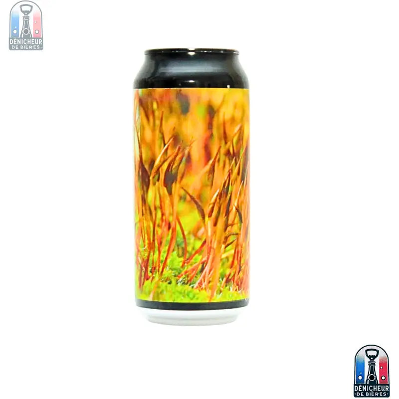 Pas de la cle - SESSION IPA - Blonde - 44cl Tétras Byre