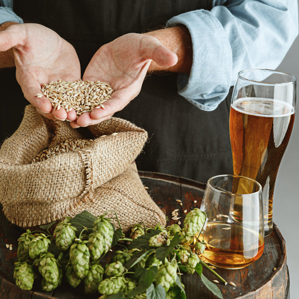 bières artisanales française